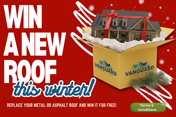 New Roof Promotion 2025